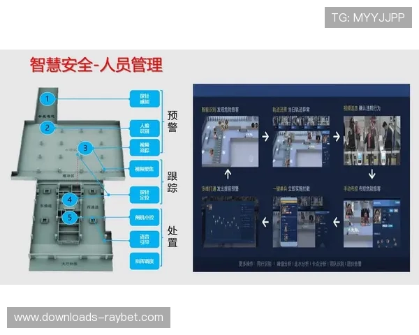 体育数字资产价值最大化成为运营核心目标
